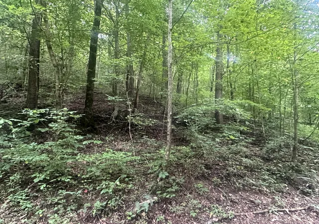 Homes for sale in Celina, TN | Lot 27 Rock Springs Rd, Celina, TN 38551 | MLS# 25014634