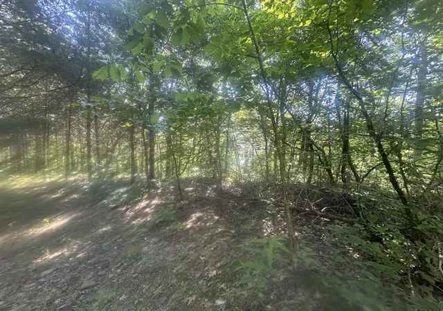 Homes for sale in Celina, TN | Lot 27 Rock Springs Rd, Celina, TN 38551 | MLS# 25014634