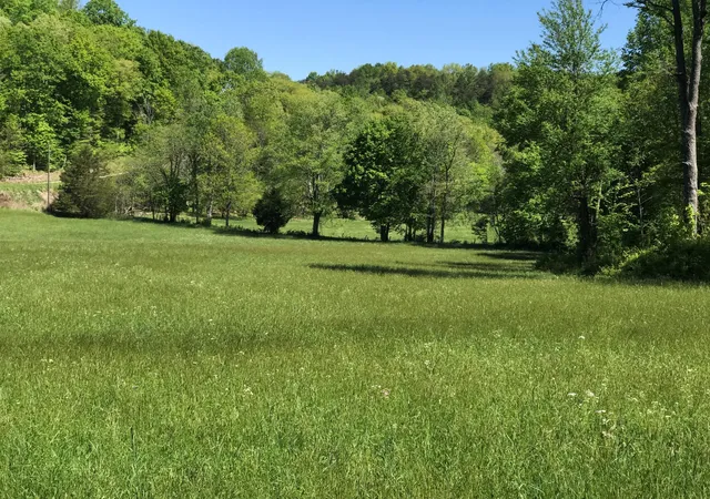 Photo 1 of Sale Pending at 0 Chesnut Grove Road, Monticello, KY 42633 | MLS# 23008839 | Listing updated on 2026-09-15