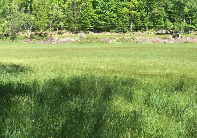 Photo 2 of Sale Pending at 0 Chesnut Grove Road, Monticello, KY 42633 | MLS# 23008839 | Listing updated on 2026-09-15