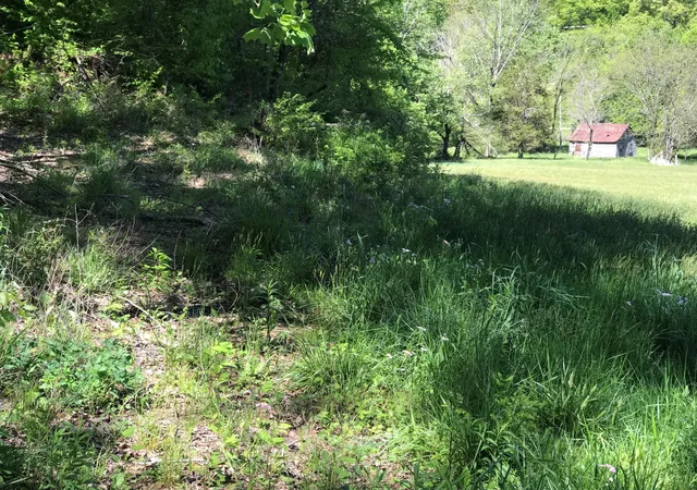 Photo 3 of Sale Pending at 0 Chesnut Grove Road, Monticello, KY 42633 | MLS# 23008839 | Listing updated on 2026-09-15