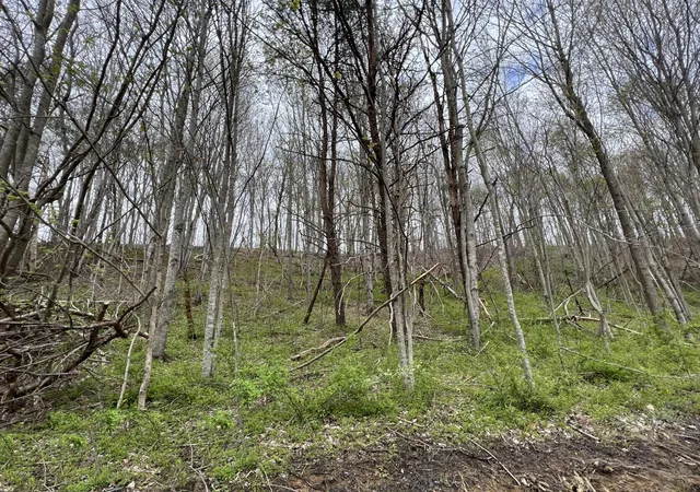Photo 1 of Land for sale at Lot #20 Laredo Dr, London, KY 40741 | MLS# 22010831 | Listing updated on 2025-09-26