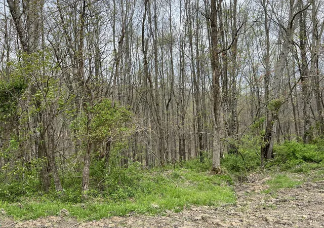 Photo 1 of Land for sale at Lot #46 Laredo Dr, London, KY 40741 | MLS# 22002560 | Listing updated on 2025-09-27