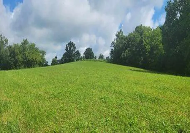 Photo 1 of Land for sale at 2901 Cecil Rd, Mount Sterling, KY 40353 | MLS# 23015303 | Listing updated on 2026-02-09
