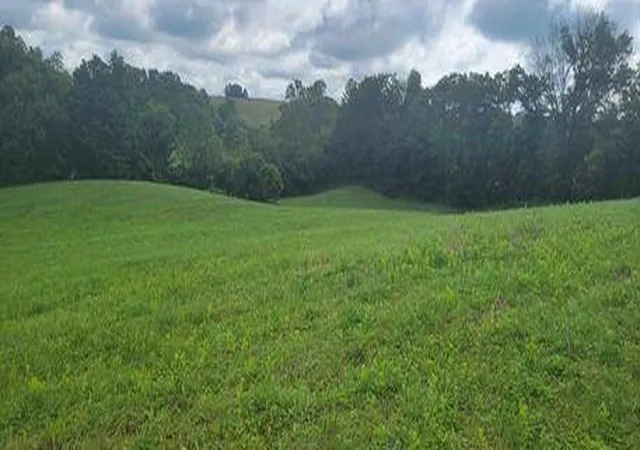 Photo 3 of Land for sale at 2901 Cecil Rd, Mount Sterling, KY 40353 | MLS# 23015303 | Listing updated on 2026-02-09