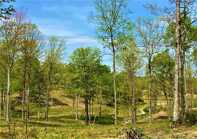 2nd image of P 3 Lot 57 Twins Pond Road, Corbin, KY 40701 | MLS# 22013147