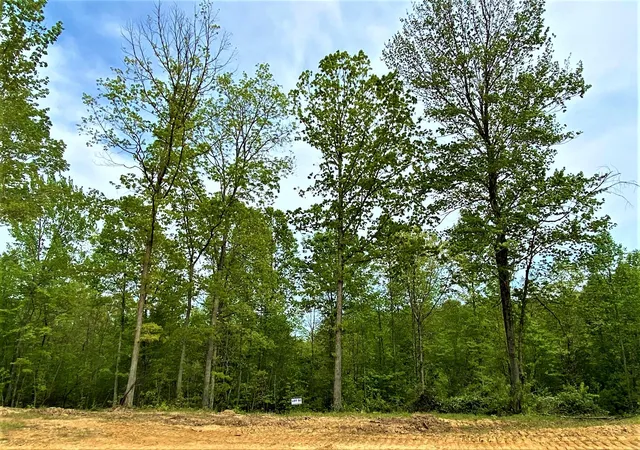 1st image of P3 Lot 50 Twin Ponds Road, Corbin, KY 40701 | MLS# 22013310