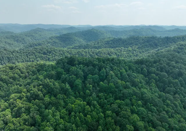 Photo 1 of Land for sale at 9999 S Highway 11, Manchester, KY 40962 | MLS# 24022874 | Listing updated on 2025-10-30