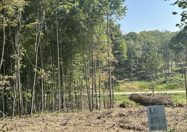 Photo 3 of Land for sale at 89 Rodeo Dr, Corbin, KY 40701 | MLS# 22006218 | Listing updated on 2026-07-29