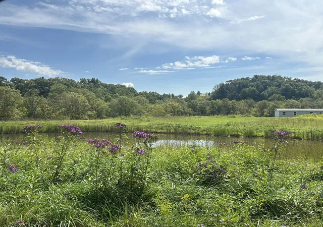Photo 2 of Land for sale at 2603 Mount Zion Rd, East Bernstadt, KY 40729 | MLS# 22020296 | Listing updated on 2025-12-26