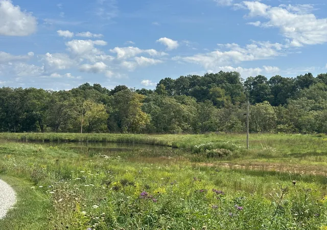 Photo 3 of Land for sale at 2603 Mount Zion Rd, East Bernstadt, KY 40729 | MLS# 22020296 | Listing updated on 2025-12-26