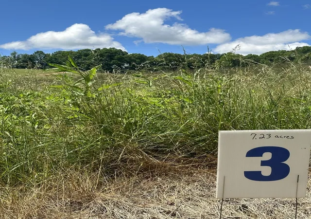 Photo 3 of Land for sale at 2603 Mount Zion Rd, East Bernstadt, KY 40729 | MLS# 22020296 | Listing updated on 2025-12-26