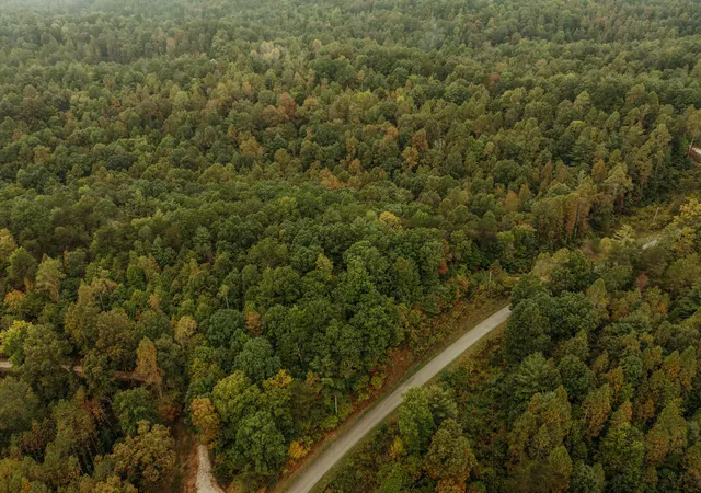 Photo 3 of Land for sale at Tbd Lot 23 Sandy Ridge Rd, Campton, KY 41301 | MLS# 23019039 | Listing updated on 2025-09-12