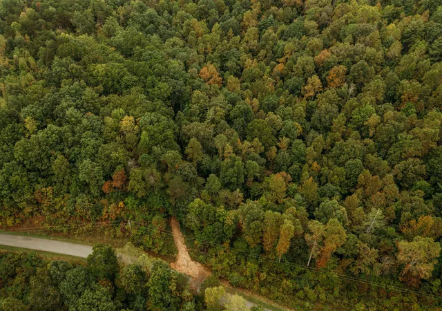 Photo 4 of Land for sale at Tbd Lot 23 Sandy Ridge Rd, Campton, KY 41301 | MLS# 23019039 | Listing updated on 2025-09-12