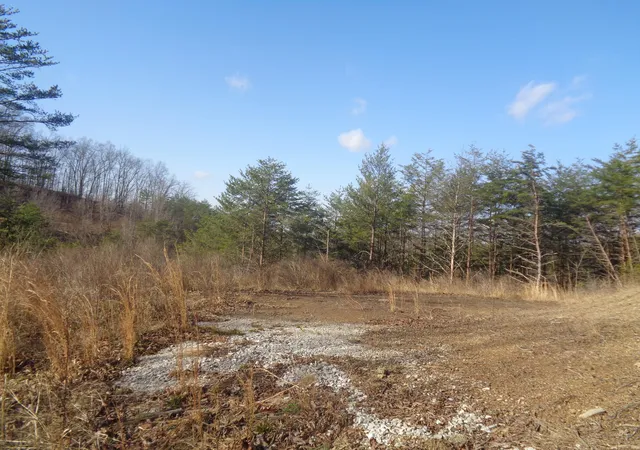 Photo 1 of Land for sale at 6 7 Freeman Branch Rd, East Bernstadt, KY 40729 | MLS# 20124822 | Listing updated on 2025-09-26