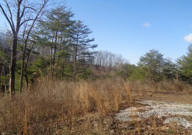 Photo 2 of Land for sale at 6 7 Freeman Branch Rd, East Bernstadt, KY 40729 | MLS# 20124822 | Listing updated on 2025-09-26