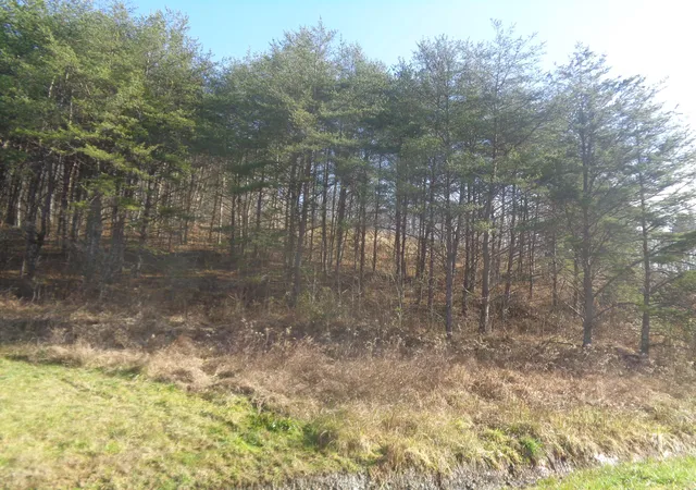 Photo 3 of Land for sale at 6-7 Freeman Branch Rd, East Bernstadt, KY 40729 | MLS# 20124822 | Listing updated on 2025-09-26