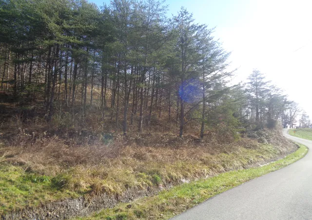 Photo 4 of Land for sale at 6-7 Freeman Branch Rd, East Bernstadt, KY 40729 | MLS# 20124822 | Listing updated on 2025-09-26