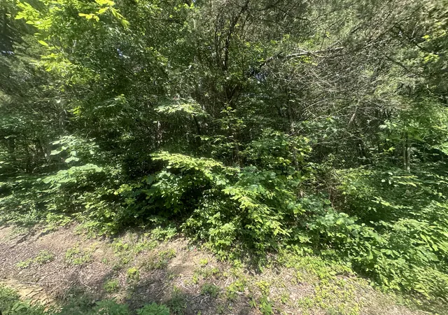 Homes for sale in Celina, TN | Lot 25 Rock Springs Rd, Celina, TN 38551 | MLS# 25014644