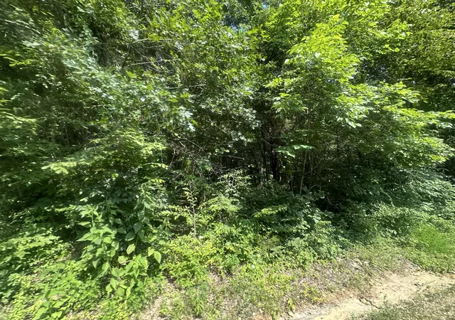 Homes for sale in Celina, TN | Lot 25 Rock Springs Rd, Celina, TN 38551 | MLS# 25014644