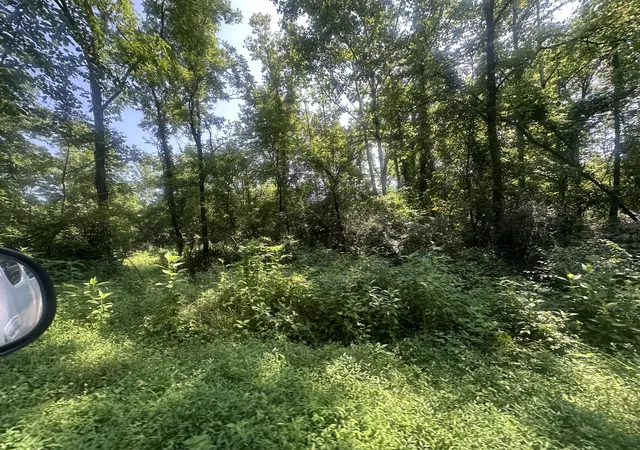 Homes for sale in Celina, TN | Lot 25 Rock Springs Rd, Celina, TN 38551 | MLS# 25014644