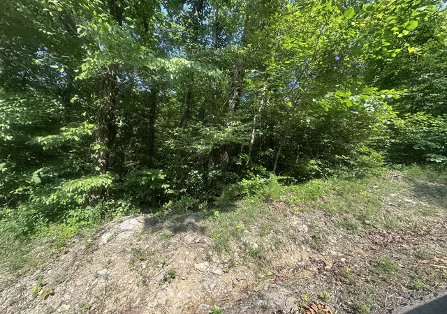 Homes for sale in Celina, TN | Lot 25 Rock Springs Rd, Celina, TN 38551 | MLS# 25014644