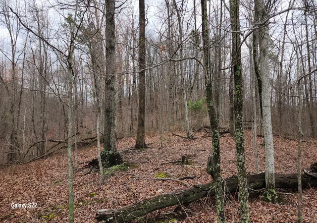Photo 1 of Land for sale at 3504 East Fork Rd, Means, KY 40346 | MLS# 23024184 | Listing updated on 2025-09-26