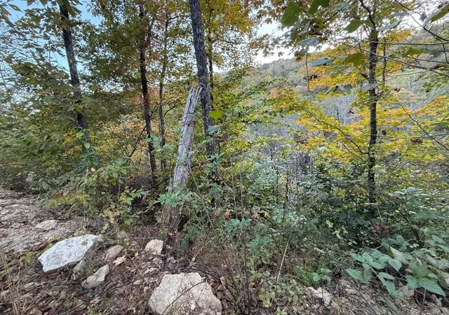 Photo 1 of Land for sale at 30 Highway 89, Mc Kee, KY 40447 | MLS# 24023592 | Listing updated on 2025-09-26