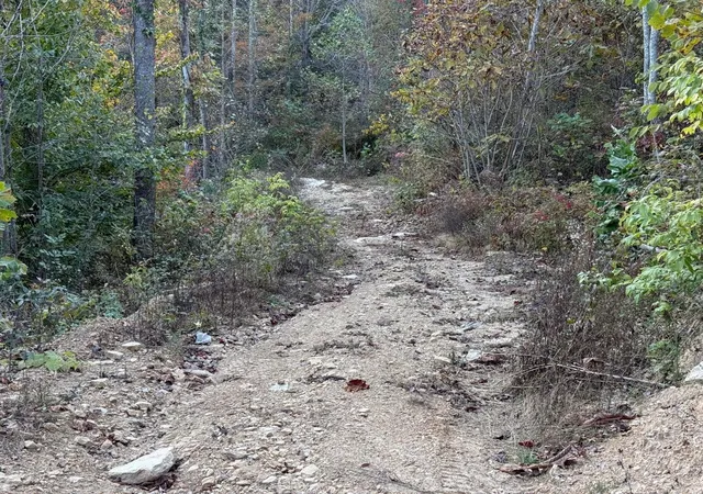 Photo 2 of Land for sale at 30 Highway 89, Mc Kee, KY 40447 | MLS# 24023592 | Listing updated on 2025-09-26