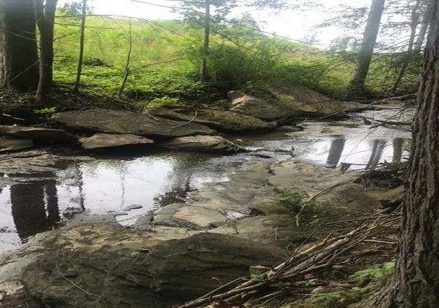 3rd image of 9999 Mitchell Creek Rd, London, KY 40741 | MLS# 22015070