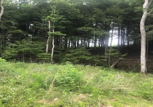 4th image of 9999 Mitchell Creek Rd, London, KY 40741 | MLS# 22015070