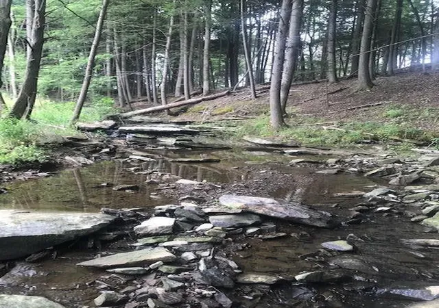 5th image of 9999 Mitchell Creek Rd, London, KY 40741 | MLS# 22015070