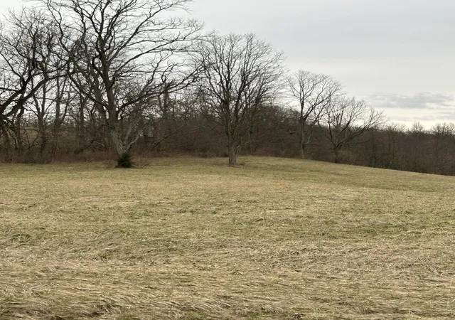 Photo 1 of Land for sale at 1 Mallard Point Dr, Georgetown, KY 40324 | MLS# 25004666 | Listing updated on 2026-09-02