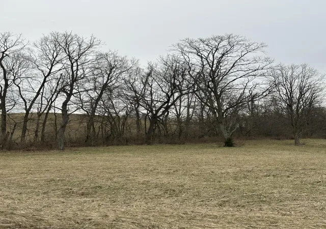 Photo 2 of Land for sale at 1 Mallard Point Dr, Georgetown, KY 40324 | MLS# 25004666 | Listing updated on 2026-09-02
