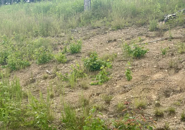 Photo 4 of Land for sale at 42 Malibu Dr, Corbin, KY 40701 | MLS# 22006183 | Listing updated on 2026-07-29