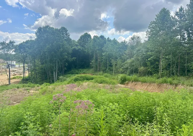 Photo 4 of Land for sale at 86 Rodeo Dr, Corbin, KY 40701 | MLS# 22006215 | Listing updated on 2026-07-29