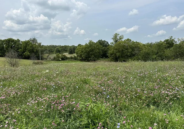 2nd image of 1099 Lloyd Rd, Georgetown, KY 40324 | MLS# 24015664