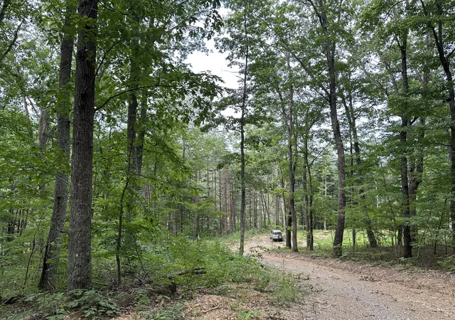 Photo 1 of Land for sale at 318 Freeman Branch Rd, East Bernstadt, KY 40729 | MLS# 23004153 | Listing updated on 2025-09-26