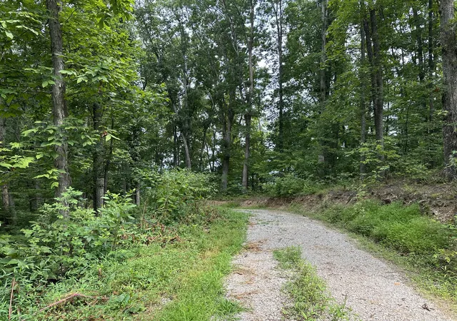 Photo 2 of Land for sale at 318 Freeman Branch Rd, East Bernstadt, KY 40729 | MLS# 23004153 | Listing updated on 2025-09-26