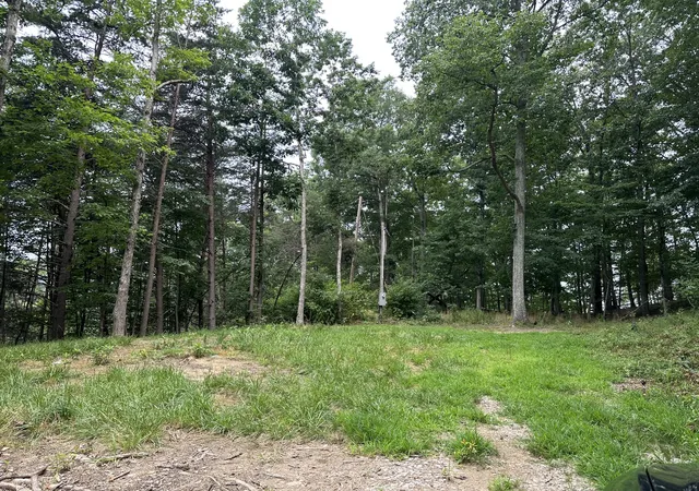 Photo 3 of Land for sale at 318 Freeman Branch Rd, East Bernstadt, KY 40729 | MLS# 23004153 | Listing updated on 2025-09-26