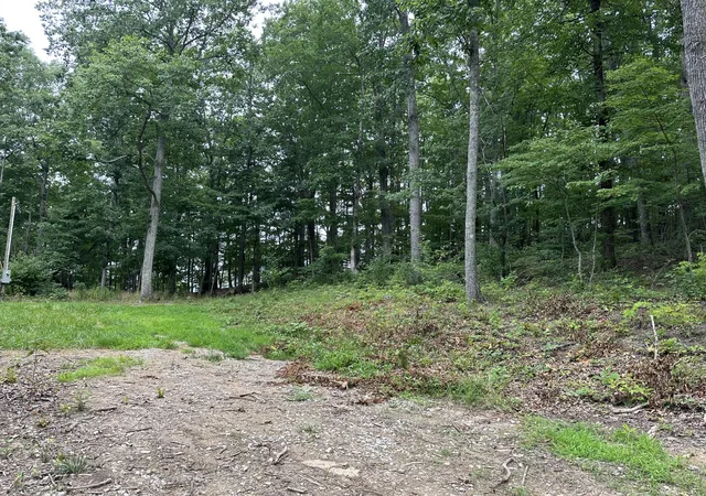 Photo 4 of Land for sale at 318 Freeman Branch Rd, East Bernstadt, KY 40729 | MLS# 23004153 | Listing updated on 2025-09-26
