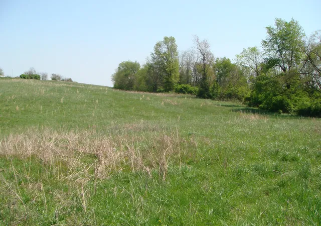 Photo 3 of Land for sale at 3054a Owingsville Rd, Mount Sterling, KY 40353 | MLS# 24001940 | Listing updated on 2026-07-01