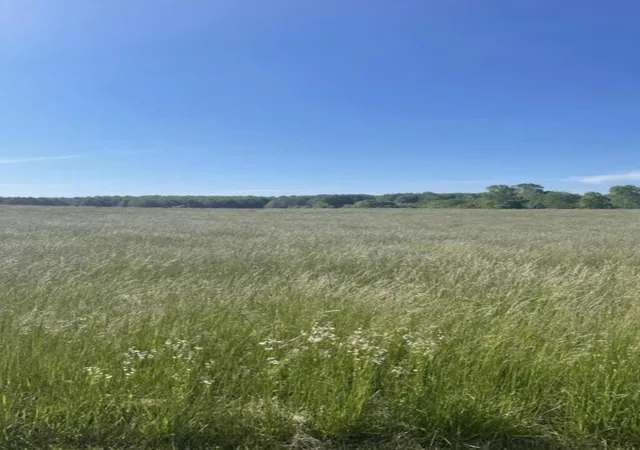 Photo 1 of Land for sale at Lot 37 Edgewater Dr, Russell Springs, KY 42642 | MLS# 25003954 | Listing updated on 2025-09-26