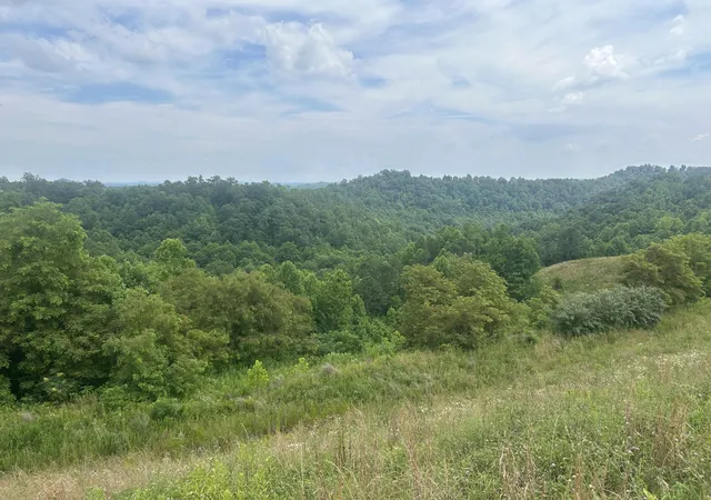 Photo 1 of Land for sale at 9999 Lewis Creek Rd, Hyden, KY 40437 | MLS# 24013298 | Listing updated on 2025-09-12