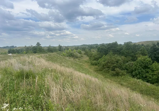 Photo 2 of Land for sale at 9999 Lewis Creek Rd, Hyden, KY 40437 | MLS# 24013298 | Listing updated on 2025-09-12