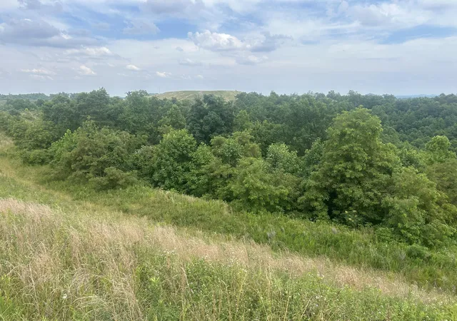 Photo 3 of Land for sale at 9999 Lewis Creek Rd, Hyden, KY 40437 | MLS# 24013298 | Listing updated on 2025-09-12