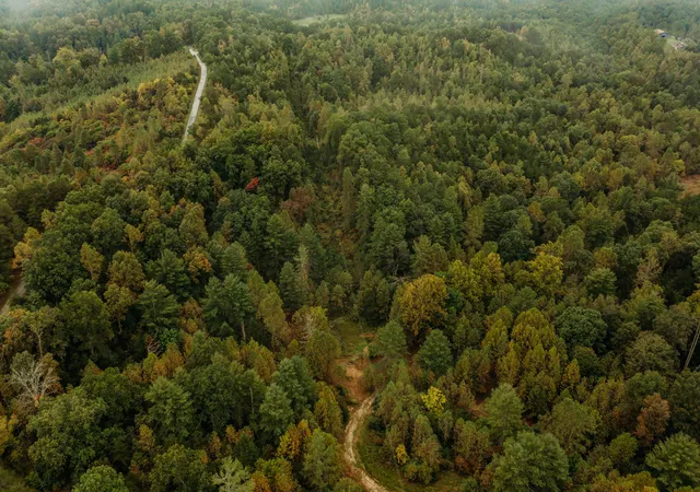 Photo 4 of Land for sale at Tbd Lot 7 Sandy Ridge Rd, Campton, KY 41301 | MLS# 23019010 | Listing updated on 2025-09-12