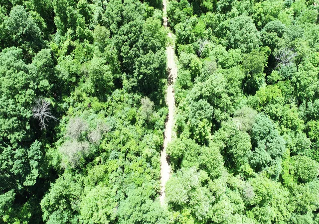 2nd image of 501 Jenkins Branch Rd, Irvine, KY 40336 | MLS# 23010892