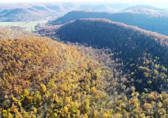 44th image of 501 Jenkins Branch Rd, Irvine, KY 40336 | MLS# 23010892