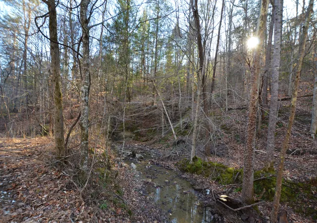 5th image of 501 Jenkins Branch Rd, Irvine, KY 40336 | MLS# 23010892